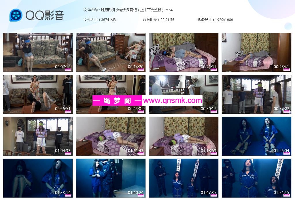 胜景影视 女老大落网记（上中下完整版）[20220814-125656].jpg